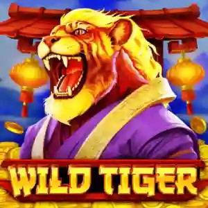 Wild Tiger slot logo by BGAMING at My Empire